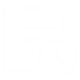 icon verification